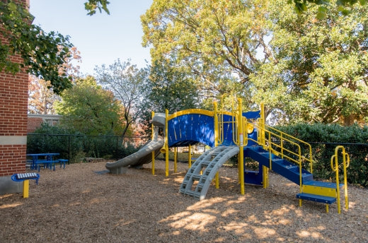 Miniature Parks, Major Perks: Exploring the Benefits of Small Urban Green Spaces