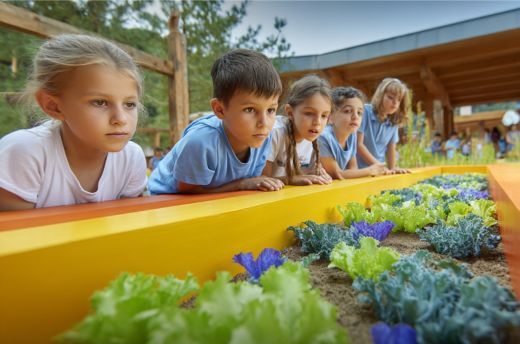 Five Ways Landscape Architects Shape Healthier Childhoods
